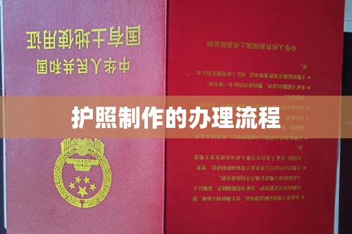 文峰护照制作的办理流程