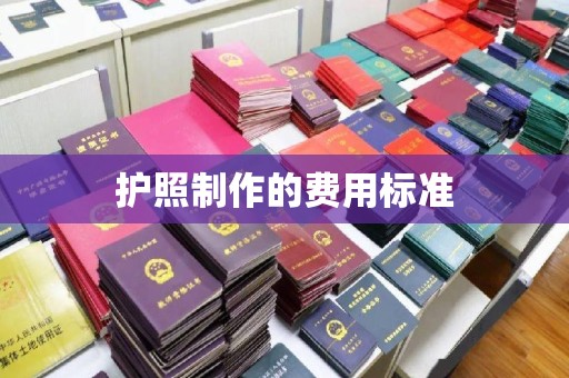 文峰护照制作的费用标准
