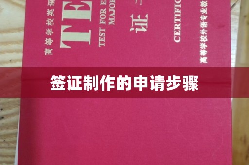 文峰签证制作的申请步骤