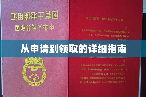 文峰从申请到领取的详细指南