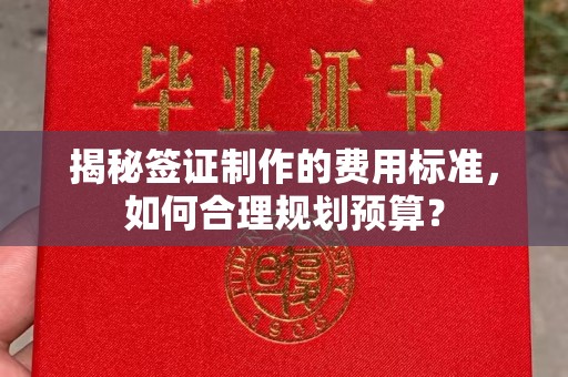 文峰揭秘签证制作的费用标准，如何合理规划预算？