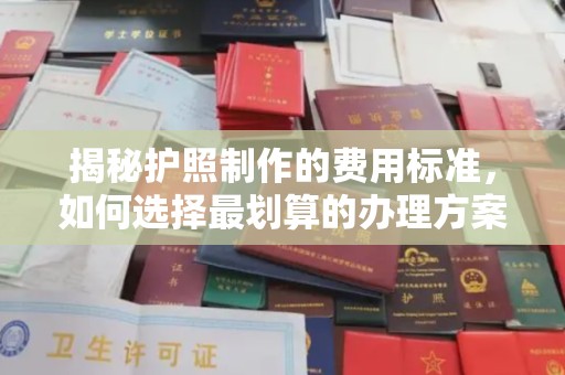 文峰揭秘护照制作的费用标准，如何选择最划算的办理方案？