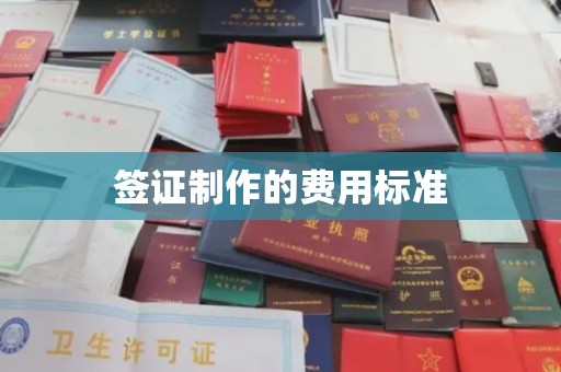 文峰签证制作的费用标准