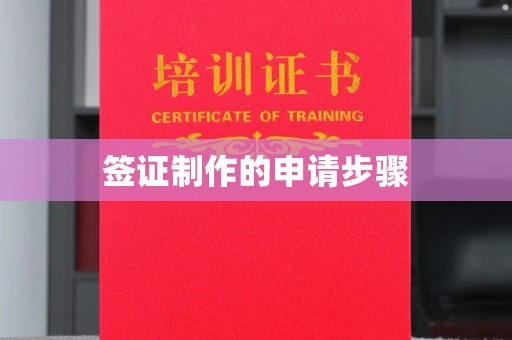 文峰签证制作的申请步骤