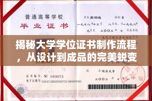文峰揭秘大学学位证书制作流程，从设计到成品的完美蜕变