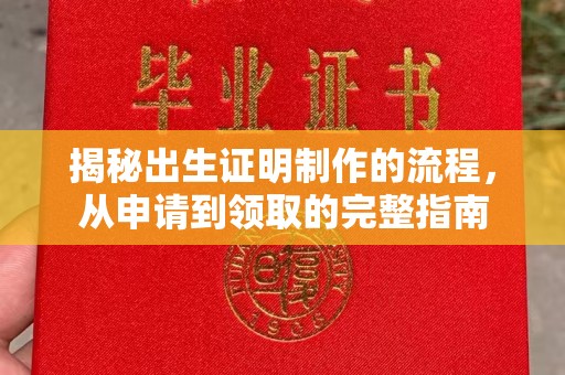 文峰揭秘出生证明制作的流程，从申请到领取的完整指南