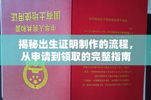 文峰揭秘出生证明制作的流程，从申请到领取的完整指南